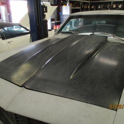 cruz   img 2695   01292021  