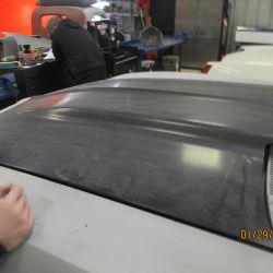 cruz   img 2695   01292021  