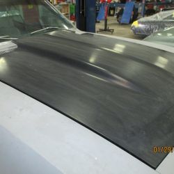 cruz   img 2695   01292021  