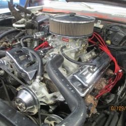 cruz   img 2695   01292021  