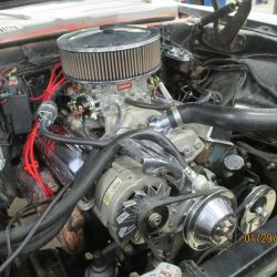 cruz   img 2695   01292021  