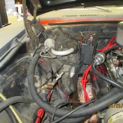 cruz   img 2695   01292021  