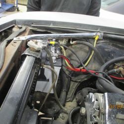 cruz   img 2695   01292021  