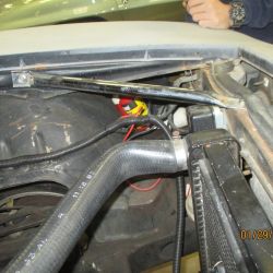 cruz   img 2695   01292021  