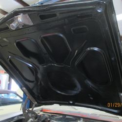 cruz   img 2695   01292021  