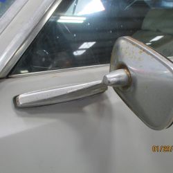 cruz   img 2695   01292021  