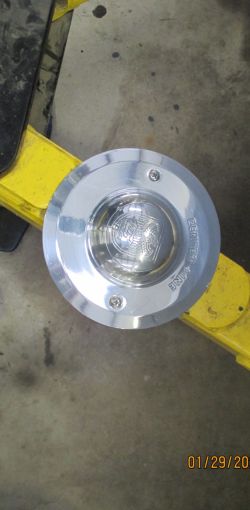 cruz   img 2695   01292021  