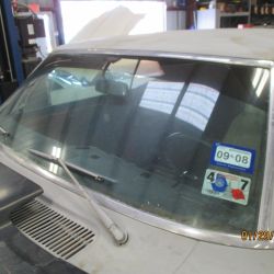 cruz   img 2695   01292021  