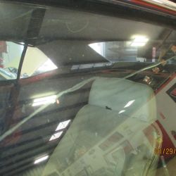 cruz   img 2695   01292021  