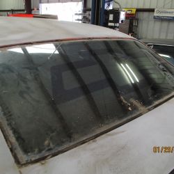 cruz   img 2695   01292021  