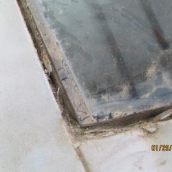 cruz   img 2695   01292021  