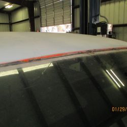 cruz   img 2695   01292021  