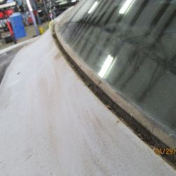 cruz   img 2695   01292021  