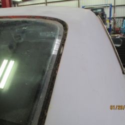 cruz   img 2695   01292021  