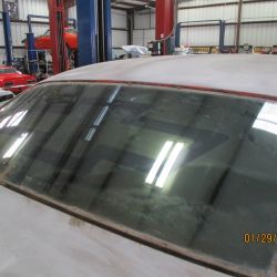 cruz   img 2695   01292021  