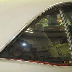 cruz   img 2695   01292021  