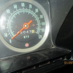 cruz   img 2695   01292021  