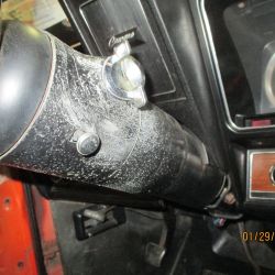 cruz   img 2695   01292021  