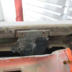 cruz   img 2938   02052021  