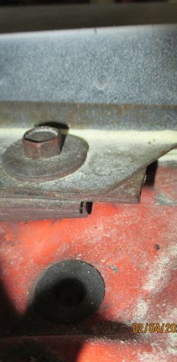 cruz   img 2938   02052021  