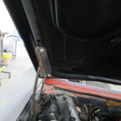 cruz   img 2938   02052021  