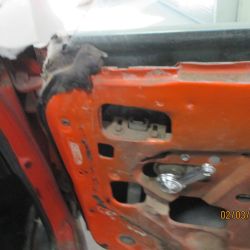 cruz   img938   02052021  