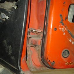 cruz   img 2938   02052021  