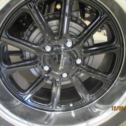 cruz   img 4433  2082021  