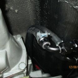 cruz   img 4433   12082021  