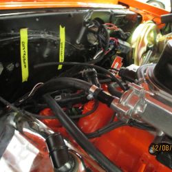 cruz   img 4433   12082021  