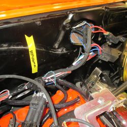 cruz   img 4433   12082021  