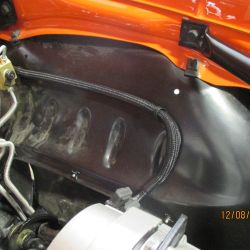 cruz   img 4433   12082021  