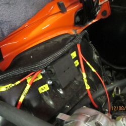 cruz   img 4433   12082021  