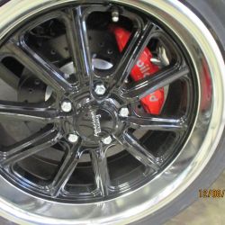 cruz   img 4433   12082021  