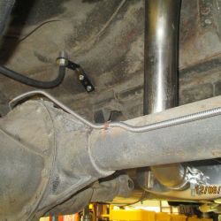 cruz   img 4433   12082021  