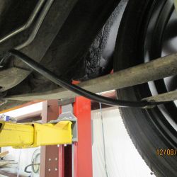 cruz   img433   12082021  