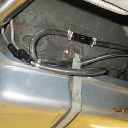 cruz   img 4433   12082021  