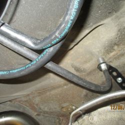 cruz   img 4433   12082021  