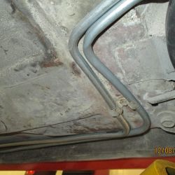 cruz   img 4433   12082021  