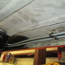 cruz   img 4433   12082021  