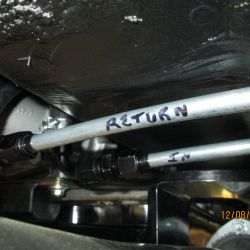 cruz   img 4433   12082021  