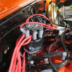 cruz   img 6281   012522  