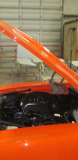 cruz   img 8022   07282021  