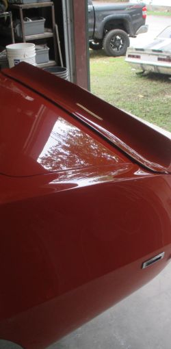 cruz   img 8022   07282021  