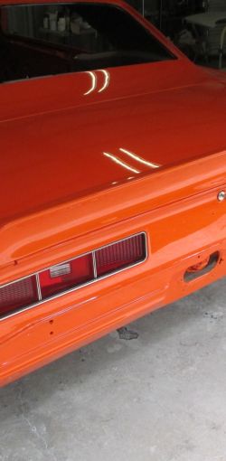 cruz   img 8022   07282021  