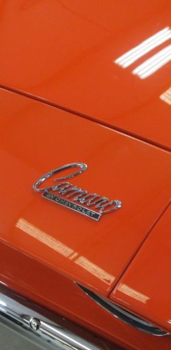 cruz   img 8070   08032021  