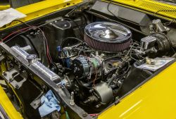 Pic 101195