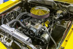 Pic 102637